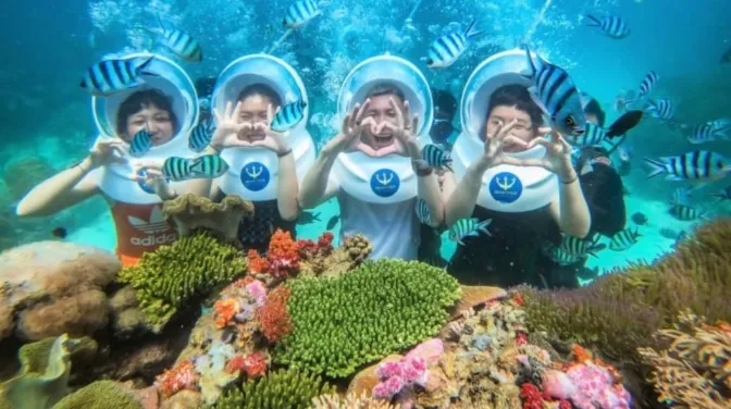 Trải Nghiệm Hoạt Động Không Thể Bỏ Qua Tại Cù Lao Xanh