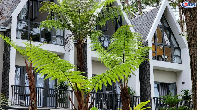 Casa Vanilla Măng Đen