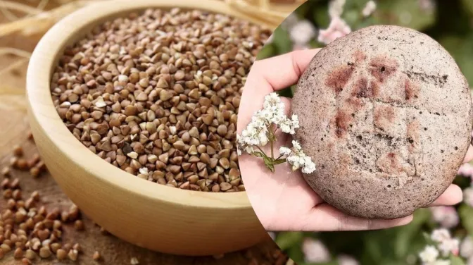 Bánh Tam Giác Mạch