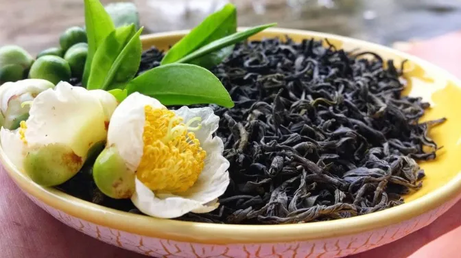 Chè Shan Tuyết Hà Giang