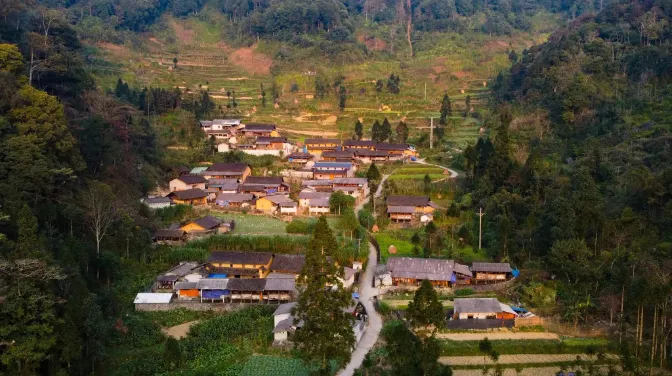 Phố Cáo