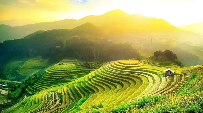 Ruộng Bậc Thang Hoàng Su Phì