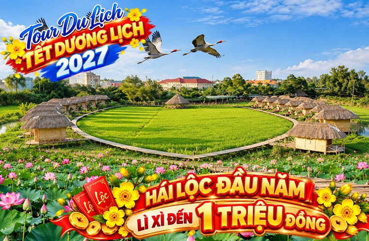 Tour Đồng Tháp 2 Ngày 1 Đêm Tết Dương Lịch | Du Lịch Xứ Sở Sen Hồng